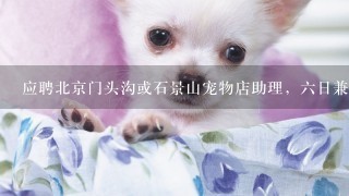 应聘北京门头沟或石景山宠物店助理，六日兼职，不计工资。