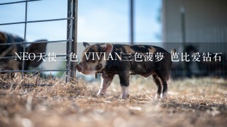 NEO天使三色 VIVIAN三色菠萝 芭比爱钻石 KILALA爆米花 四个选一个灰色 哪款最舒服最漂亮？