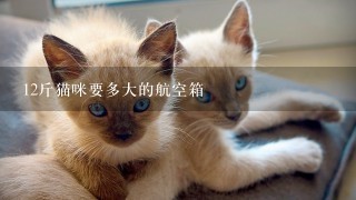 12斤猫咪要多大的航空箱