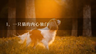 一只猫的内心独白