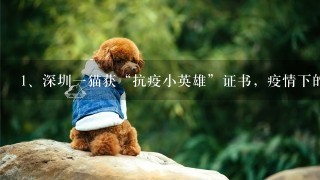 深圳一猫获“抗疫小英雄”证书，疫情下的宠物救助志