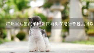广州省站坐汽车回阳江狗狗在宠物背包里可以带上车？？能过安检吗？