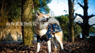 山海关宠物医院 在哪