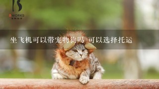 坐飞机可以带宠物狗吗 可以选择托运