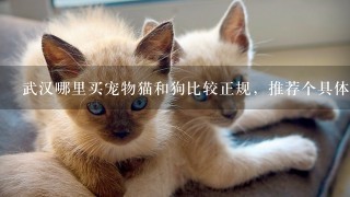 武汉哪里买宠物猫和狗比较正规，推荐个具体地点...