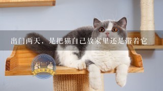 出门两天，是把猫自己放家里还是带着它