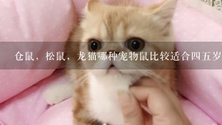 仓鼠，松鼠，龙猫哪种宠物鼠比较适合四五岁的小孩子饲养？