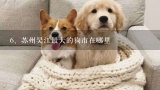 苏州吴江最大的狗市在哪里