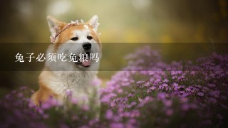 兔子必须吃兔粮吗