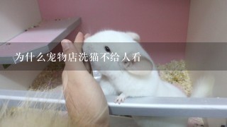 为什么宠物店洗猫不给人看