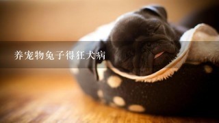 养宠物兔子得狂犬病