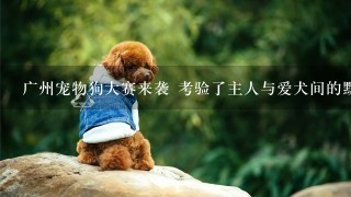 广州宠物狗大赛来袭 考验了主人与爱犬间的默契