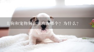 土狗和宠物狗你喜欢养哪个？为什么？