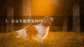 公交车能带宠物吗