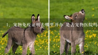 宠物免疫证明去哪里开办 是去宠物医院吗？