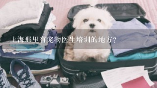 上海那里有宠物医生培训的地方？