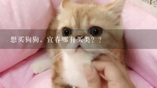 想买狗狗，宜春哪有买类？？