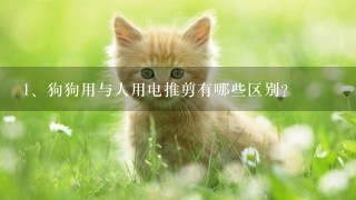 狗狗用与人用电推剪有哪些区别？