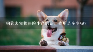 狗狗去宠物医院生产的话，费用是多少呢？