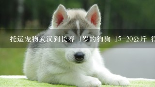 托运宠物武汉到长春 1岁的狗狗 15-20公斤 得多少钱 不要空运