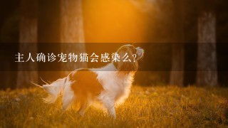 主人确诊宠物猫会感染么？