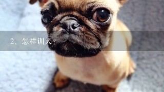 怎样训犬？