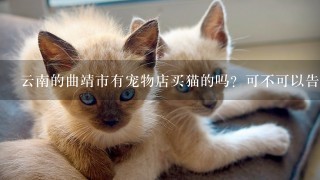 云南的曲靖市有宠物店买猫的吗？可不可以告诉我一下在哪里，谢谢