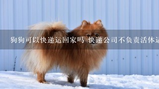 狗狗可以快递运回家吗 快递公司不负责活体运输！