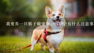 我要养一只猴子做宠物,可以吗?有什么注意事项?