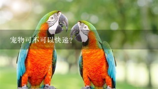 宠物可不可以快递？