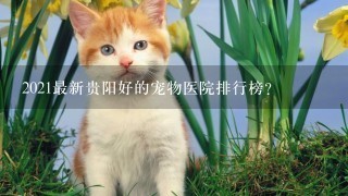 2021最新贵阳好的宠物医院排行榜？