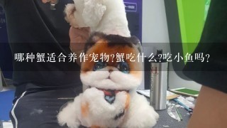 哪种蟹适合养作宠物?蟹吃什么?吃小鱼吗?