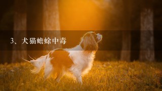 犬猫蟾蜍中毒