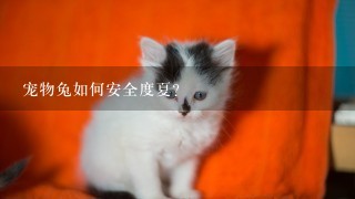 宠物兔如何安全度夏？