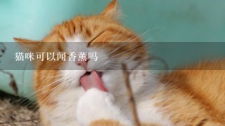 猫咪可以闻香薰吗