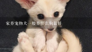 家养宠物犬一般养什么狗最好