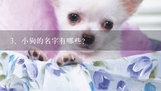 小狗的名字有哪些?