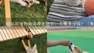 哈尔滨宠物狗清理牙结石，大概多少钱？（要正规兽医院）