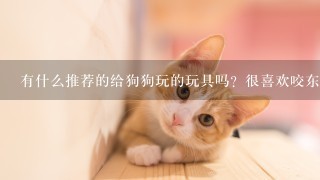 有什么推荐的给狗狗玩的玩具吗？很喜欢咬东西