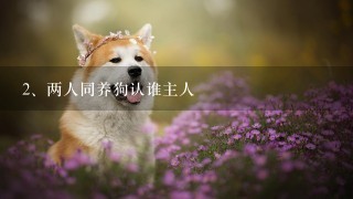 两人同养狗认谁主人