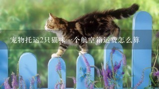 宠物托运2只猫咪一个航空箱运费怎么算