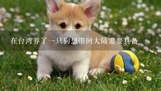 在台湾养了一只狗想带回大陆需要具备