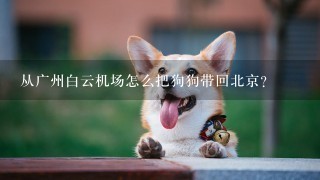 从广州白云机场怎么把狗狗带回北京？