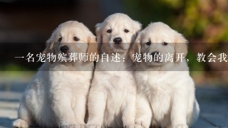 一名宠物殡葬师的自述：宠物的离开，教会我们什么？