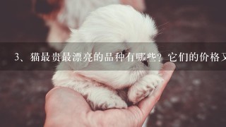 猫最贵最漂亮的品种有哪些？它们的价格又是怎样的？