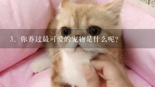 你养过最可爱的宠物是什么呢？