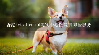 香港Pets Central宠物中心医院有哪些服务