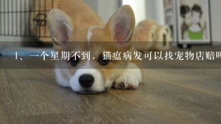 一个星期不到，猫瘟病发可以找宠物店赔吗