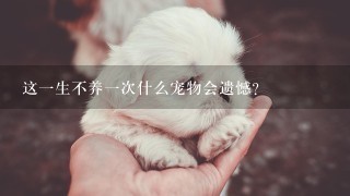 这一生不养一次什么宠物会遗憾？