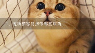 宠物猫容易携带哪些病菌